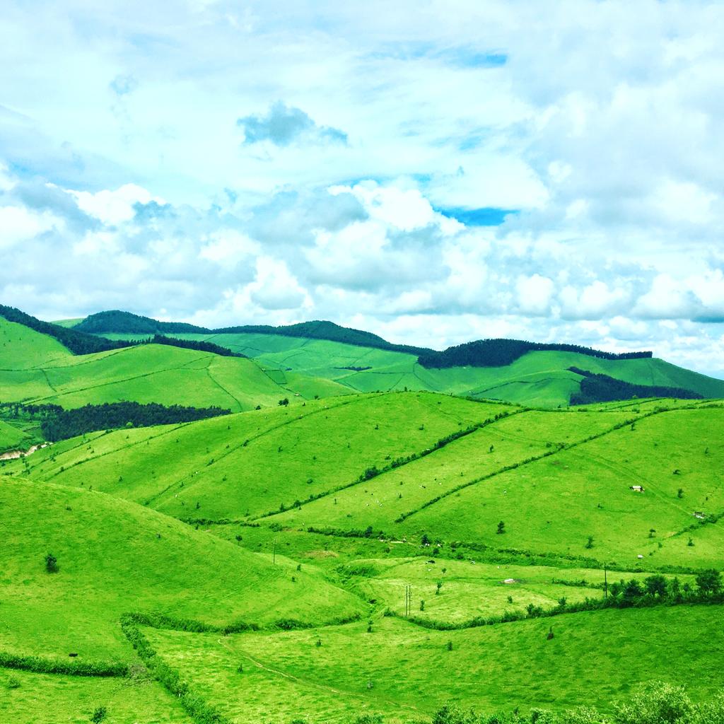 Rwanda landscape