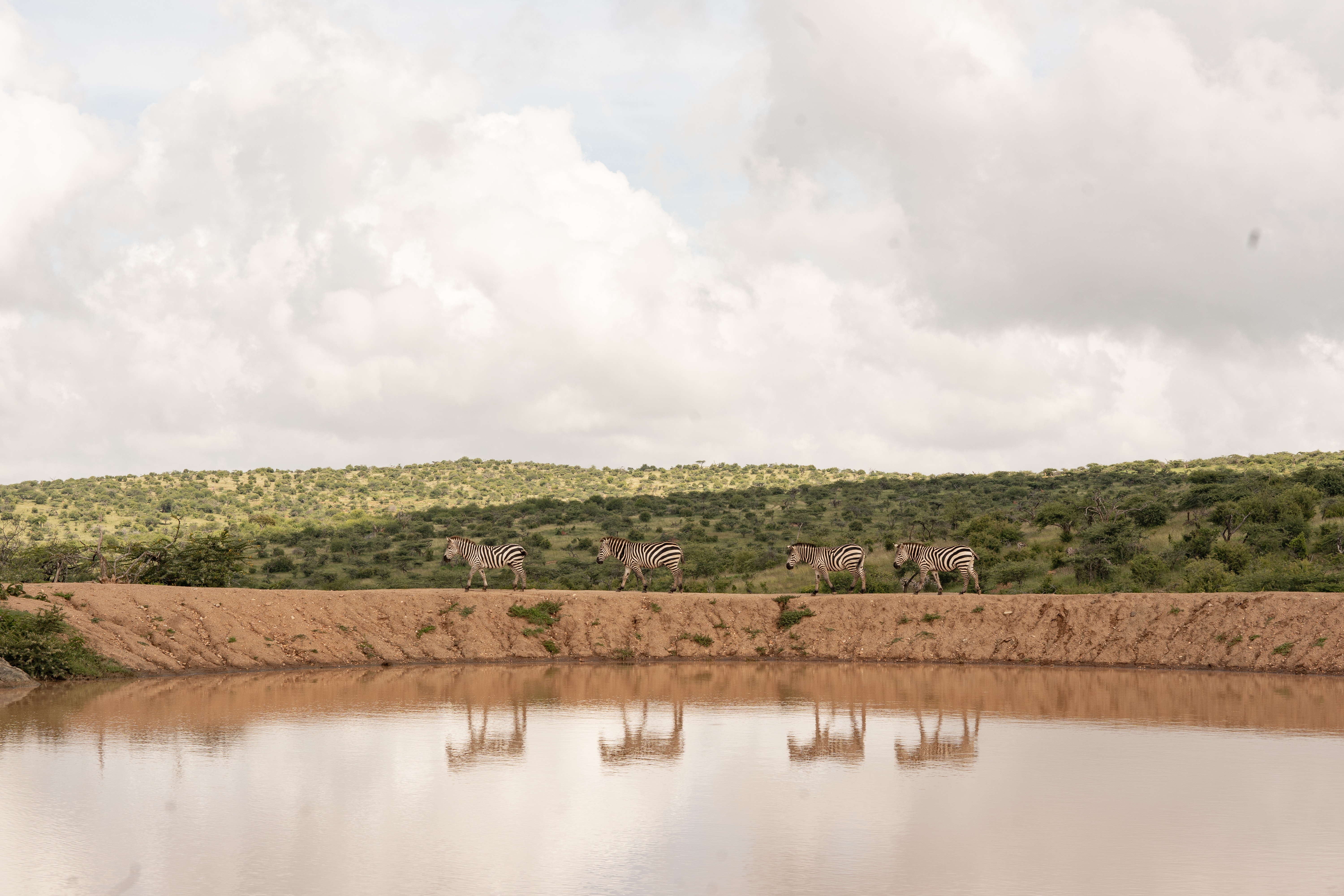 Kenyan landscape