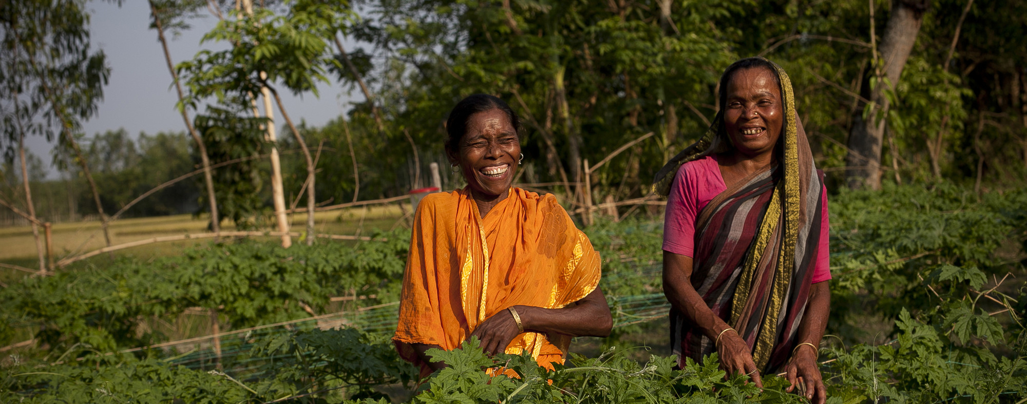 Overcoming rural poverty through farming innovations | VSO