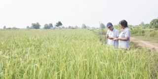 Volunter Al Razon talks with co-operative leader Ly Theort on the edge of a field at her farm