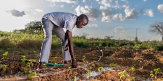 Man farming