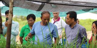 Farmers in Cambodia