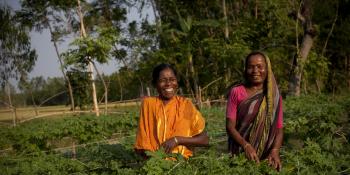 Two female farmers laugh together as they harvest crops