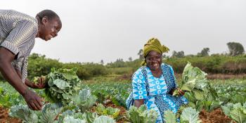 Woman harvesting crops in field.