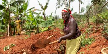 woman digs a planting hole