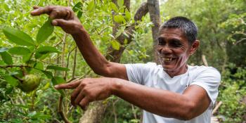 Mangrove nursery project