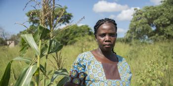 Woman with maize plant