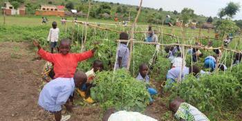 Primary children gardening