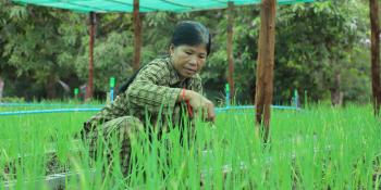 Woman working on farm