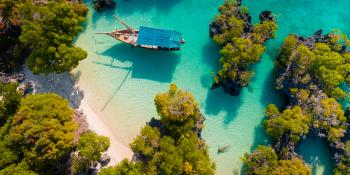 aerial view of the pamunda island, Zanzibar