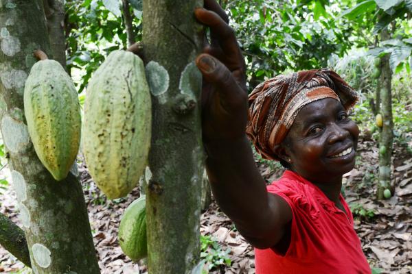 Cocoa farmer Abiba leans on a cocoa tree with ripening pods