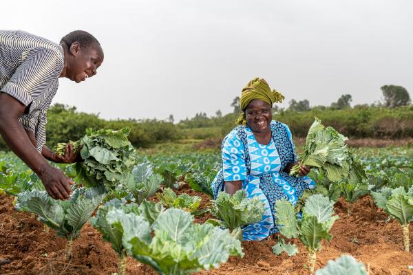 Types Of Women's Topsy  International Society of Precision Agriculture