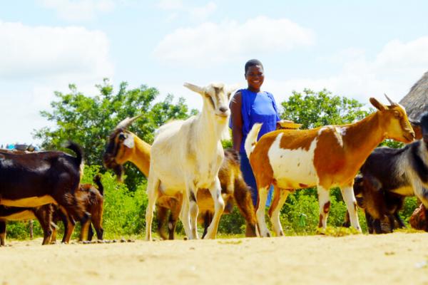 Memory, member of the goat farming group