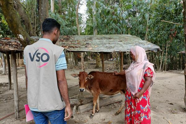 Volunteer with cattle farmer