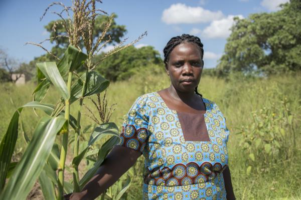 Woman with maize plant