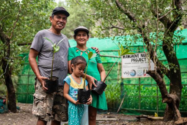 Family planting mangroves