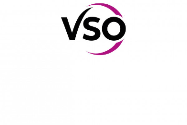 VSO logo