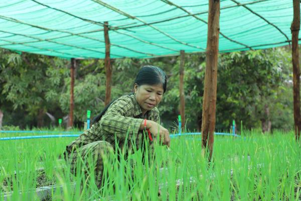 Woman working on farm