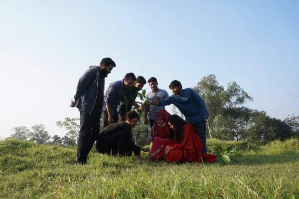 Tree planting