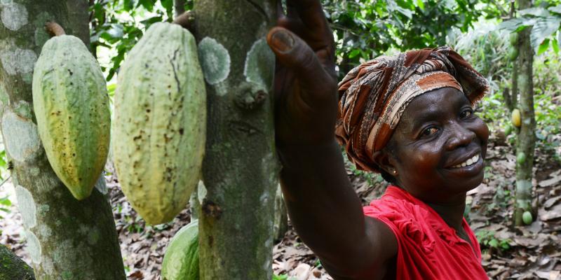 Increasing profits for cocoa farmers | VSO